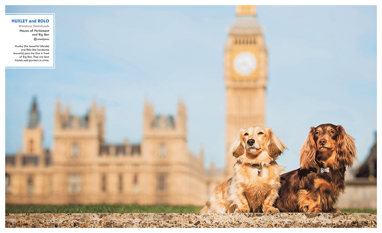 Canines of London Hardcover Book