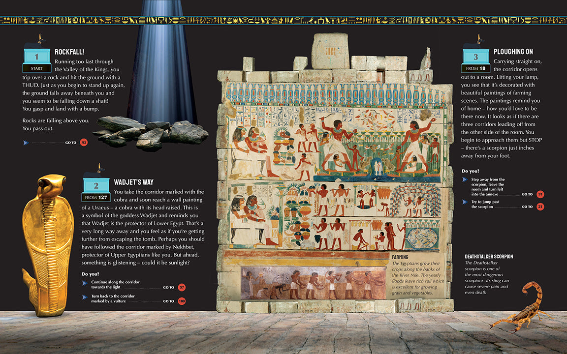 Escape the Mummy's Tomb Flexibound Book