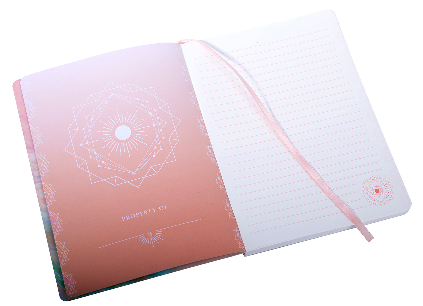 Gratitude Softcover Notebook Softcover Book