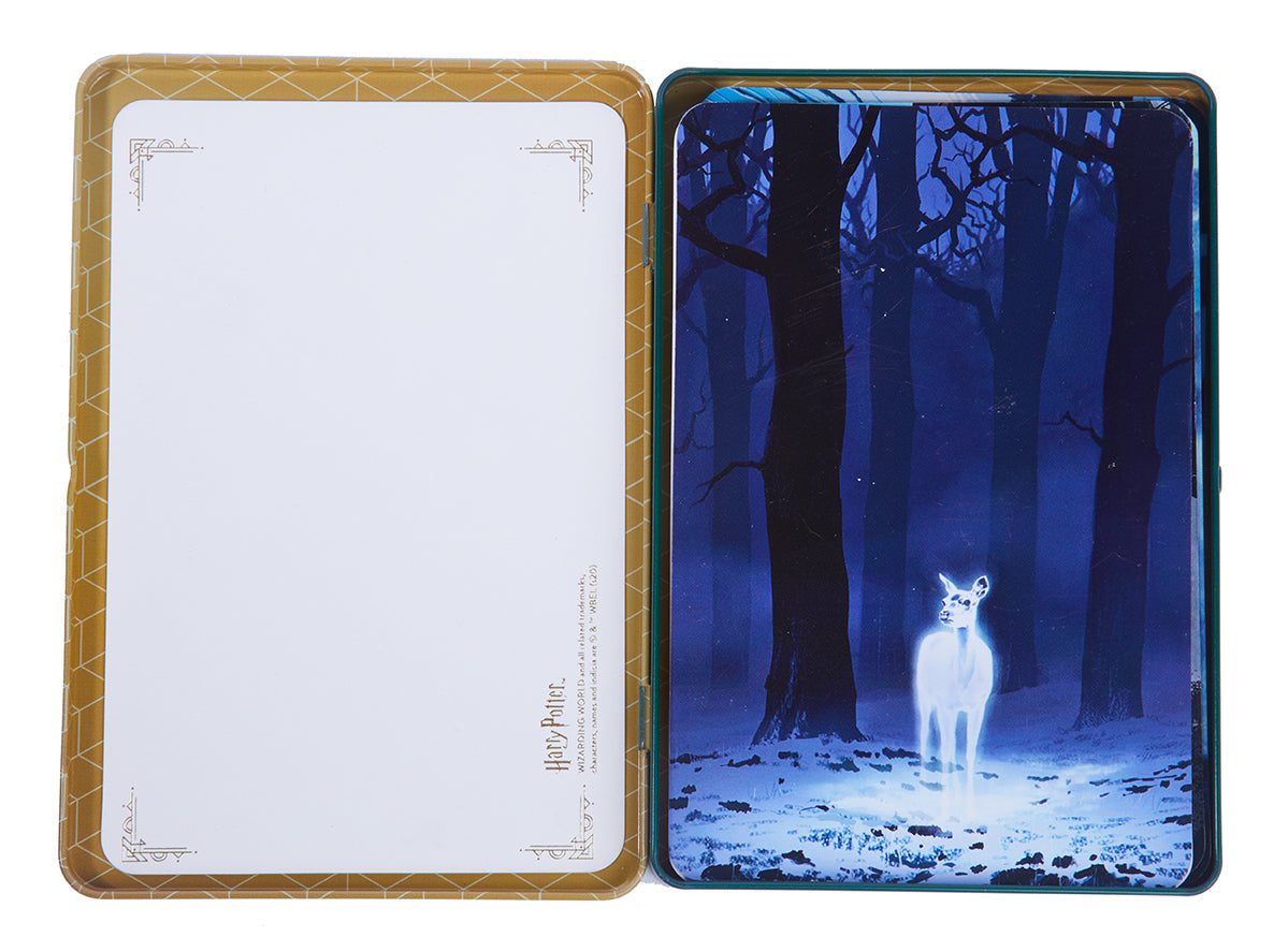 Harry Potter: Hogwarts Concept Art Postcard Tin Set