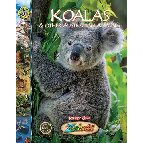 Koalas and Other Australian Animals