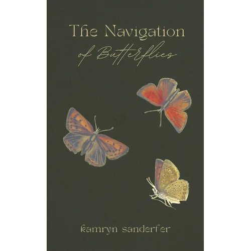 The Navigation of Butterflies