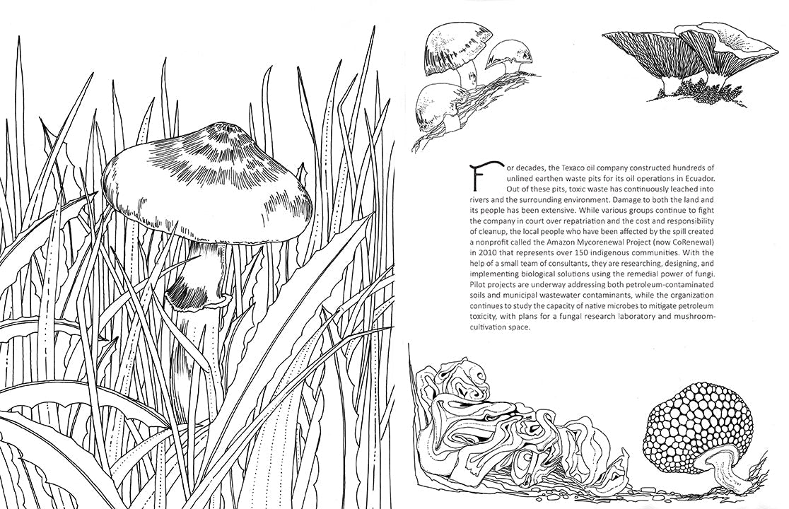 Fantastic Fungi: The Coloring Book Softcover Book