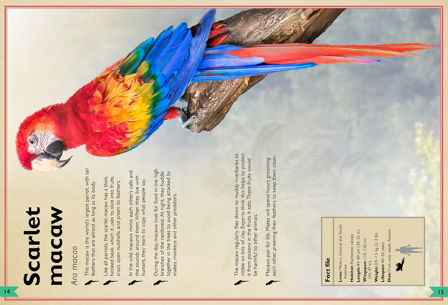 The Magnificent Book of Birds Hardcover Book