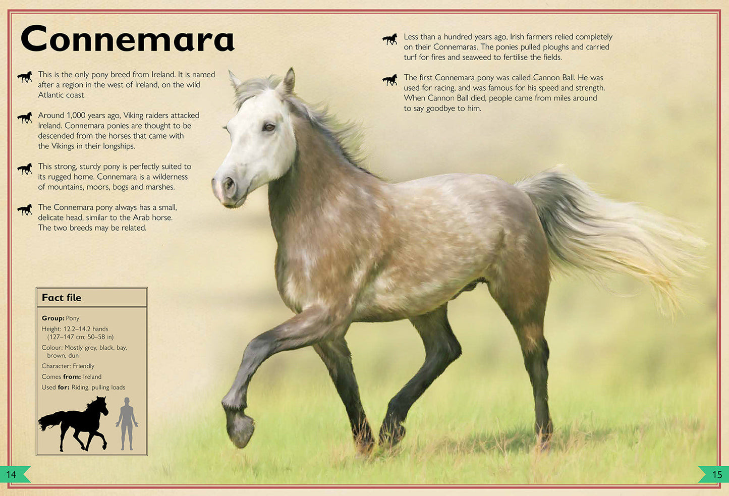 The Magnificent Book of Horses Hardcover Book