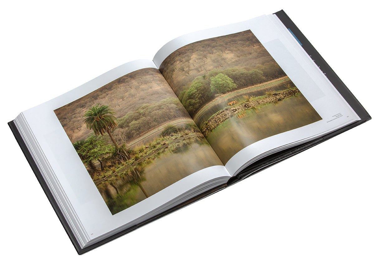 The New Big 5 Hardcover Book