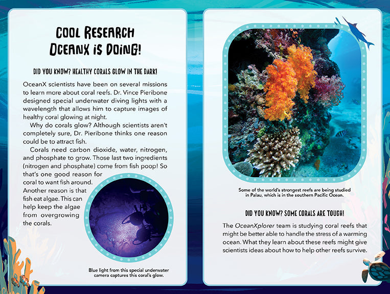 Mystery at the Aquarium Softcover Book