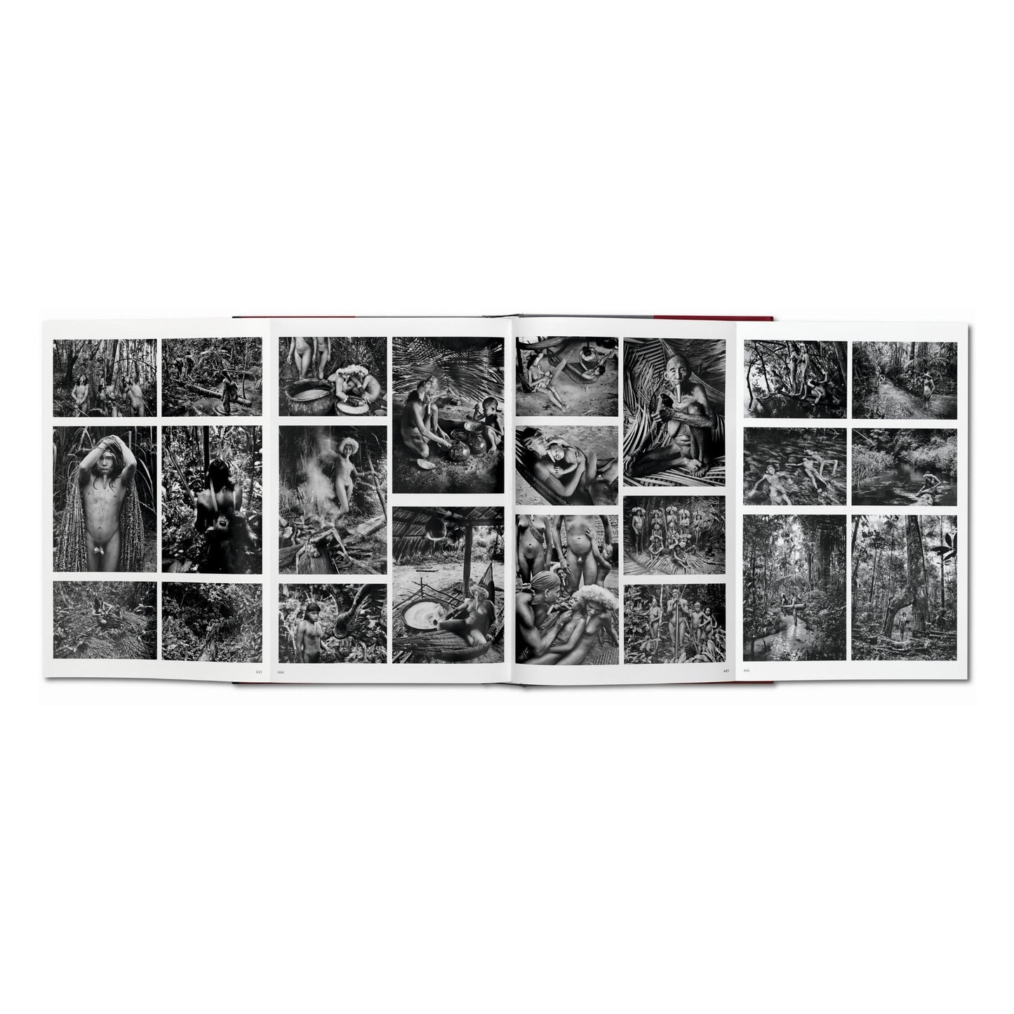 Sebastião Salgado. Genesis (English) Book