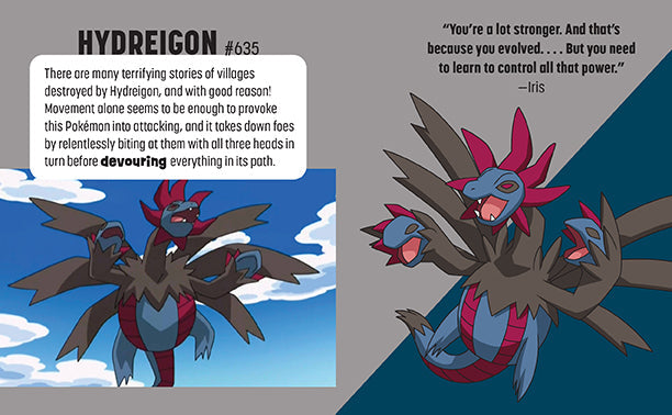 Pokemon: Trainer's Mini Exploration Guide to Unova Hardcover Book