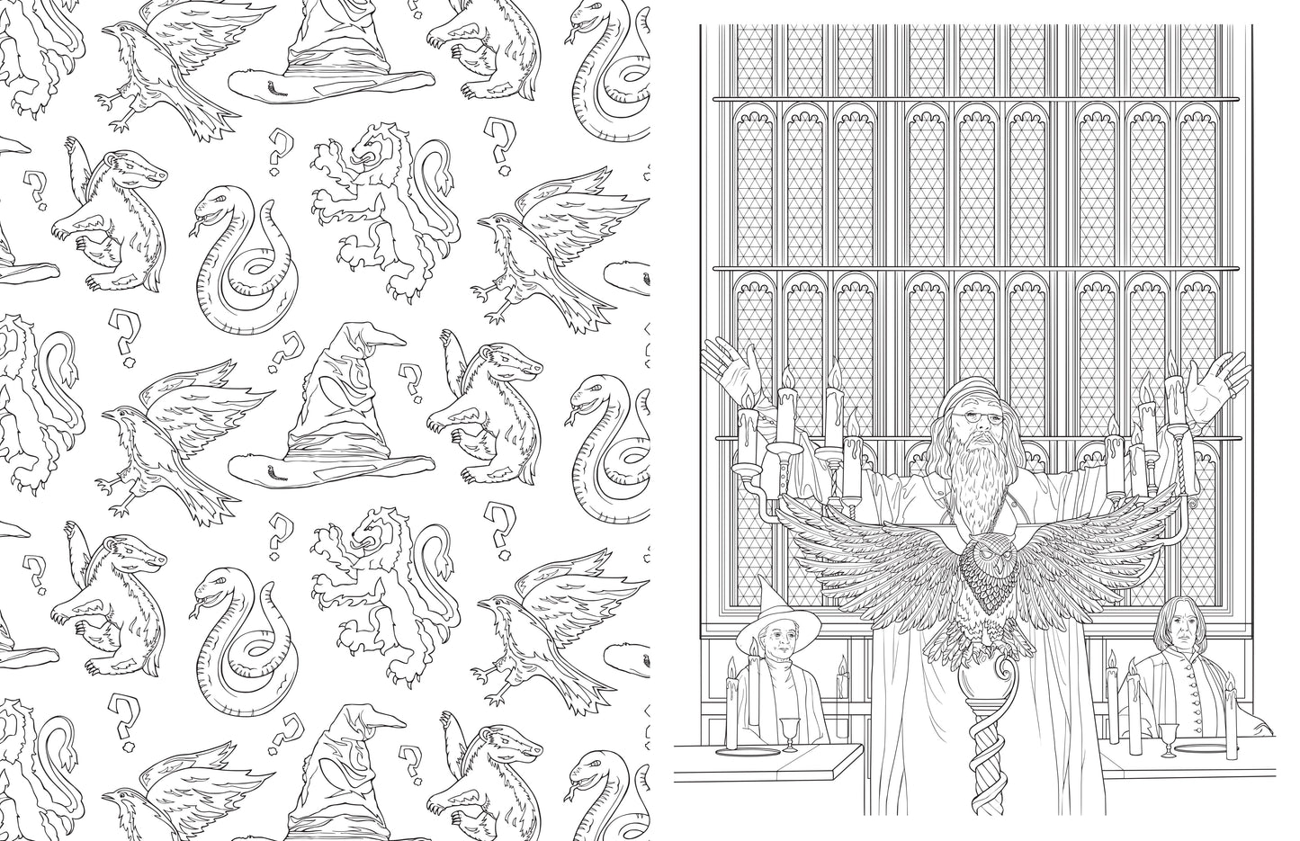 Harry Potter: An Official Hogwarts Coloring Hardcover Book