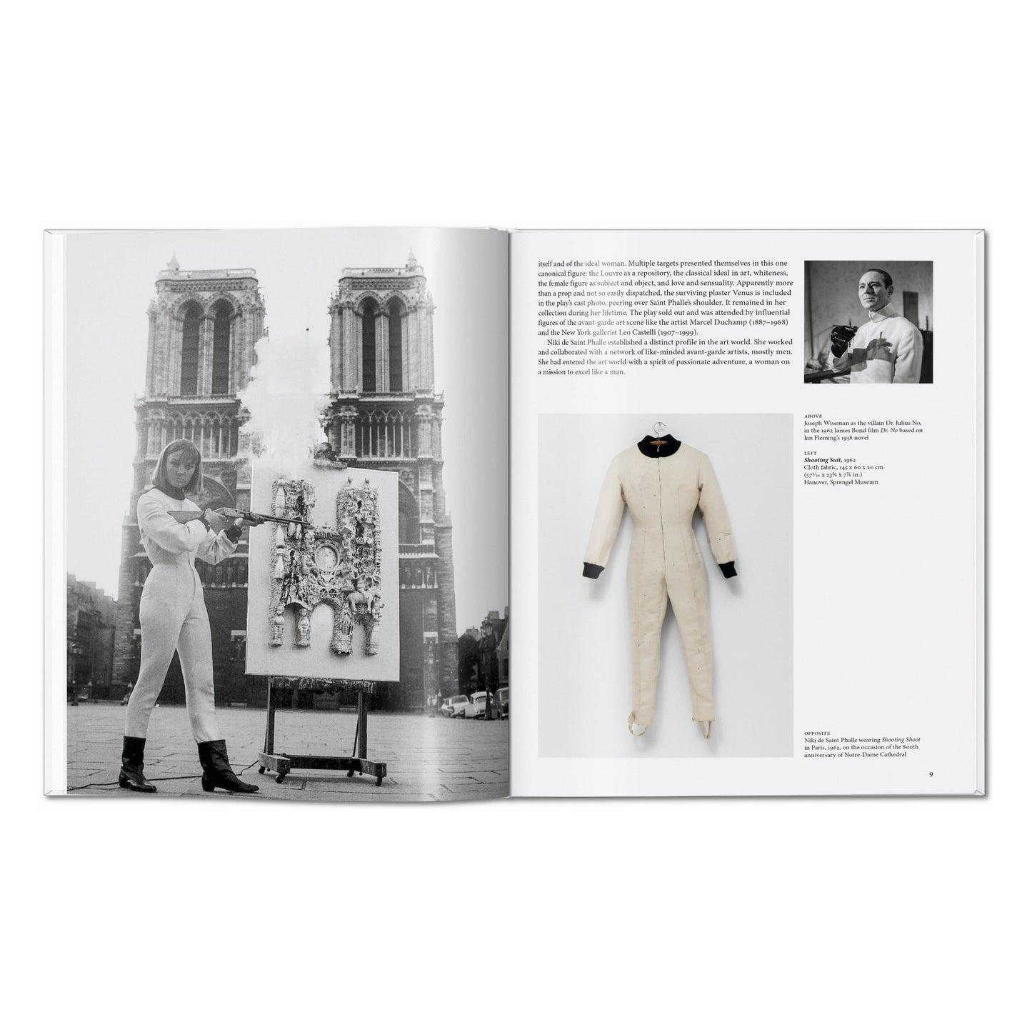 Niki de Saint Phalle (English) Book