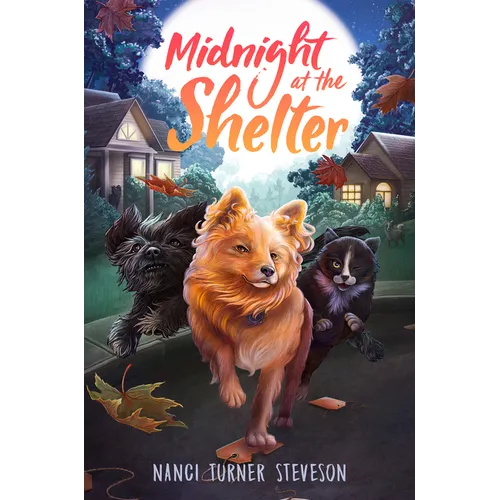Midnight at the Shelter
