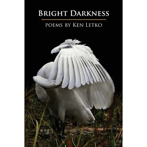Bright Darkness