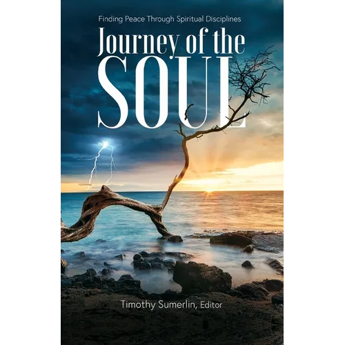 The Soul Journey