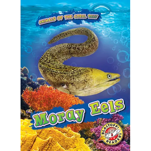 Moray Eels