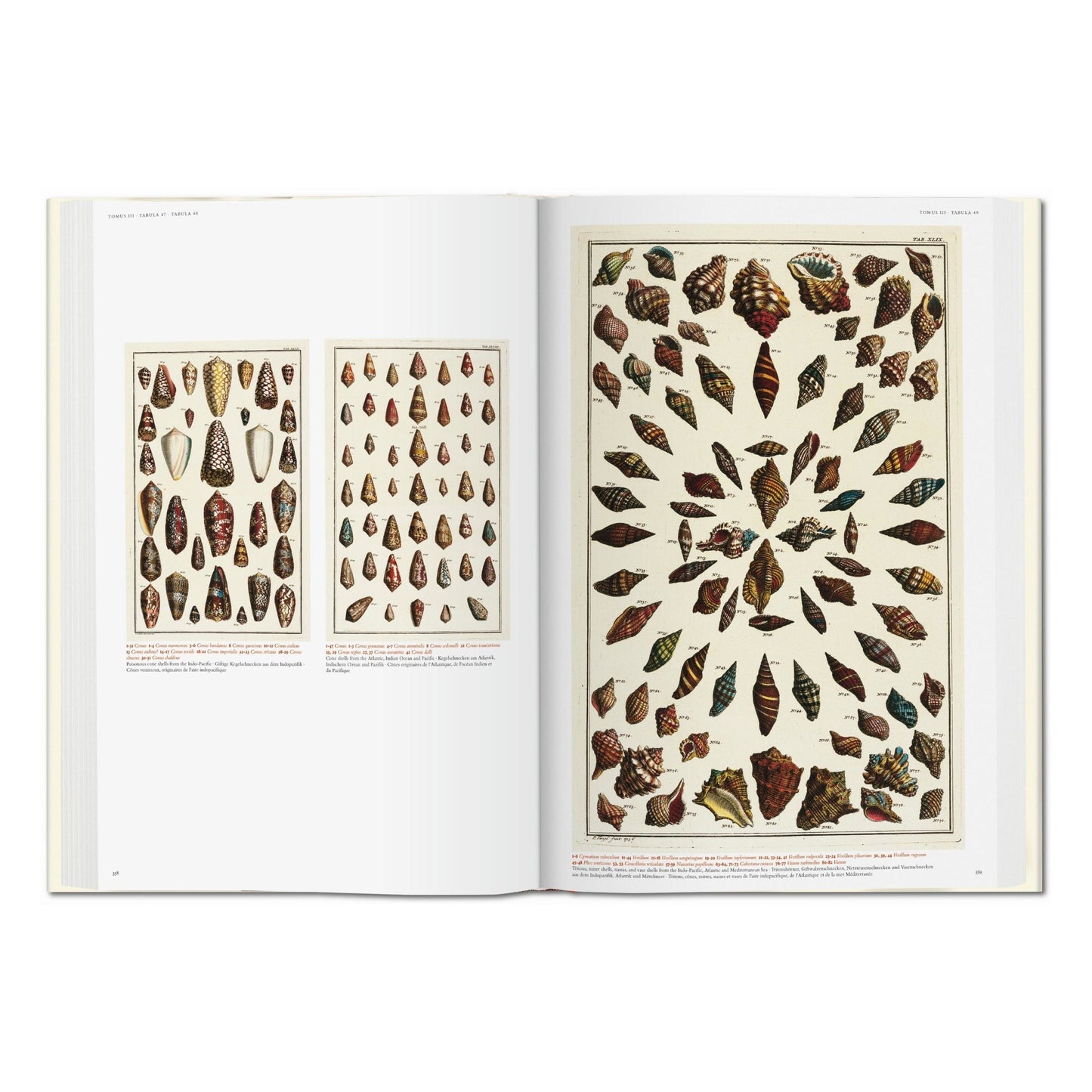 Seba. Cabinet of Natural Curiosities (German, French, English) Book