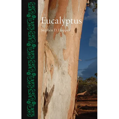 Eucalyptus
