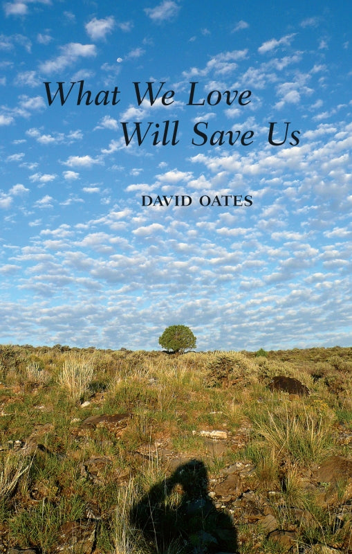 What We Love Will Save Us Book