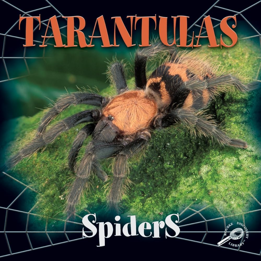 Tarantulas (Spiders Discovery)