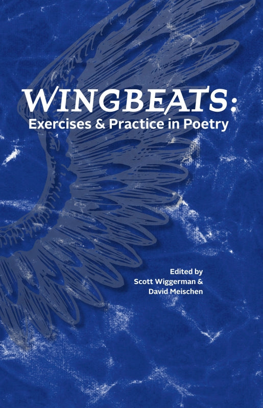 Wingbeats: Exercises and Practice in Poetry Book