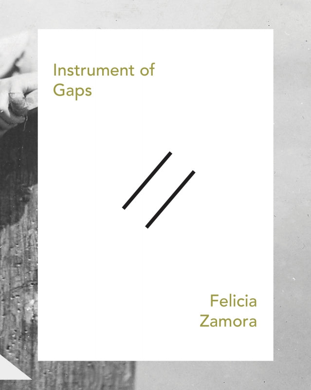 Instrument of Gaps Book