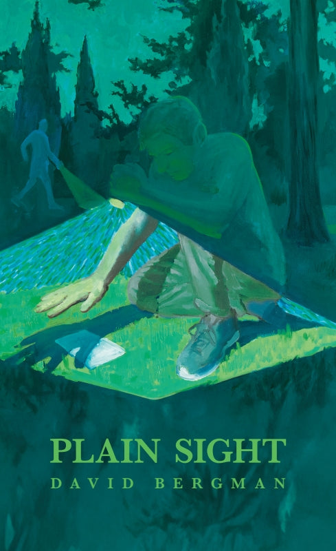 Plain Sight Book