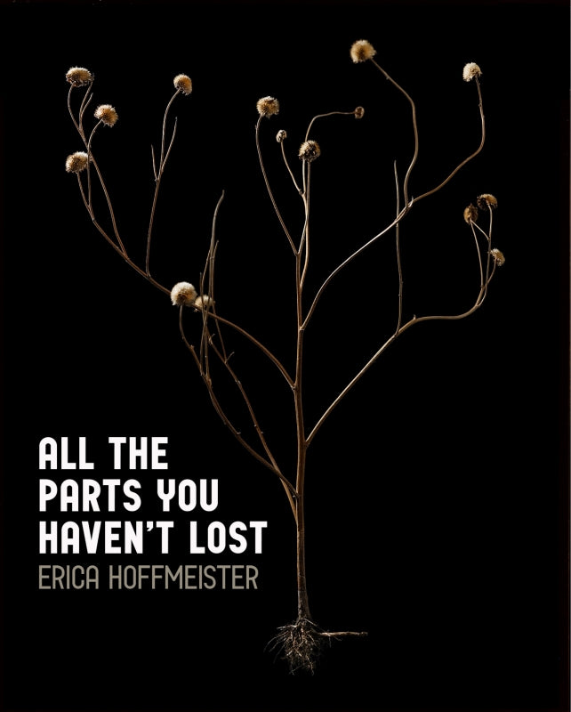 All the Parts You Haven't Lost Book