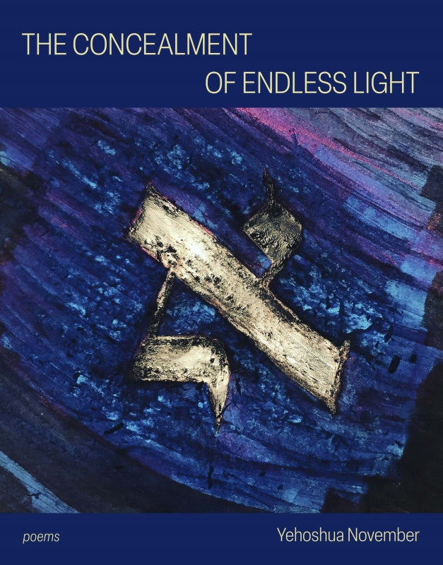 The Concealment of Endless Light Book