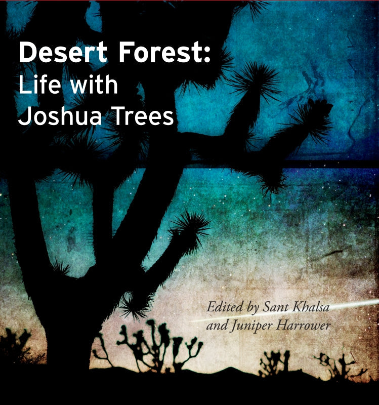Desert Forest: Life with Joshua Trees - Paperback Book