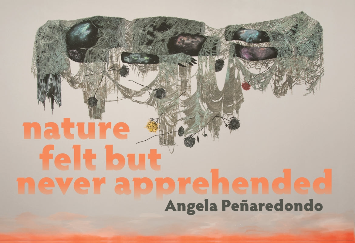 Nature Felt But Never Apprehended Book