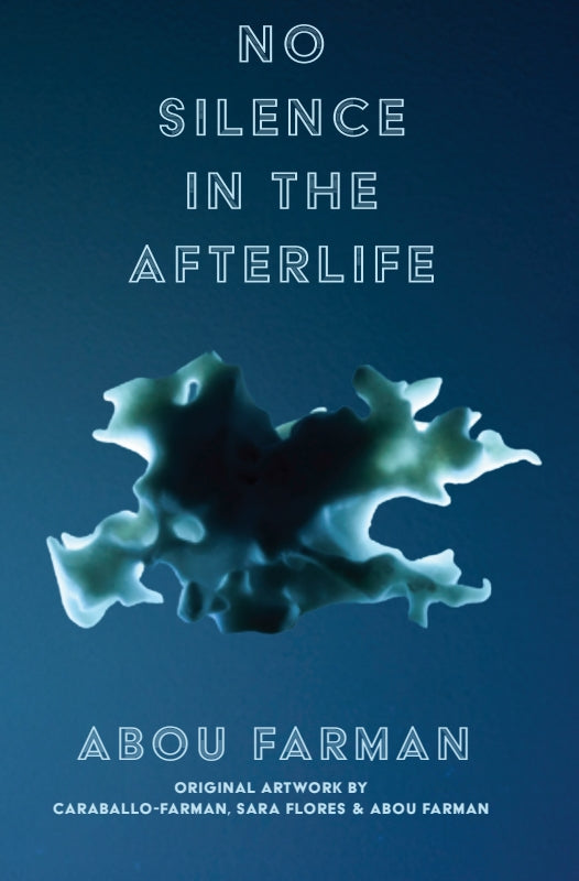 No Silence in the Afterlife Book