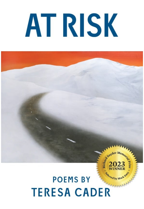 AT RISK Book