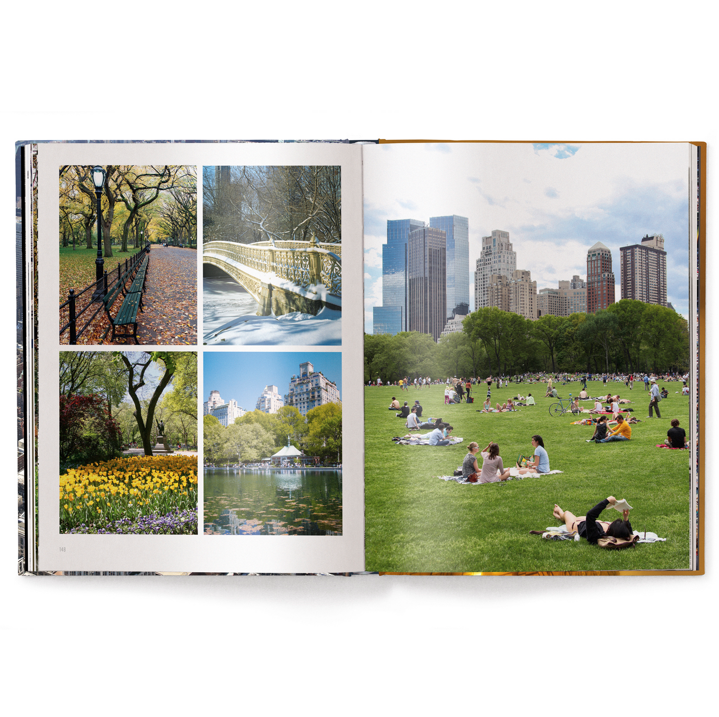 Iconic New York Book