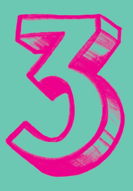 3 by Sara Lippmann Book