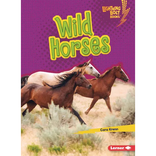Wild Horses