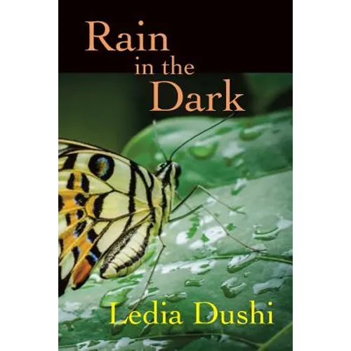 Rain in the Dark