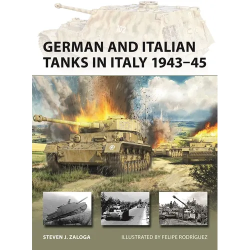 German and Italian Tanks in Italy 1943-45