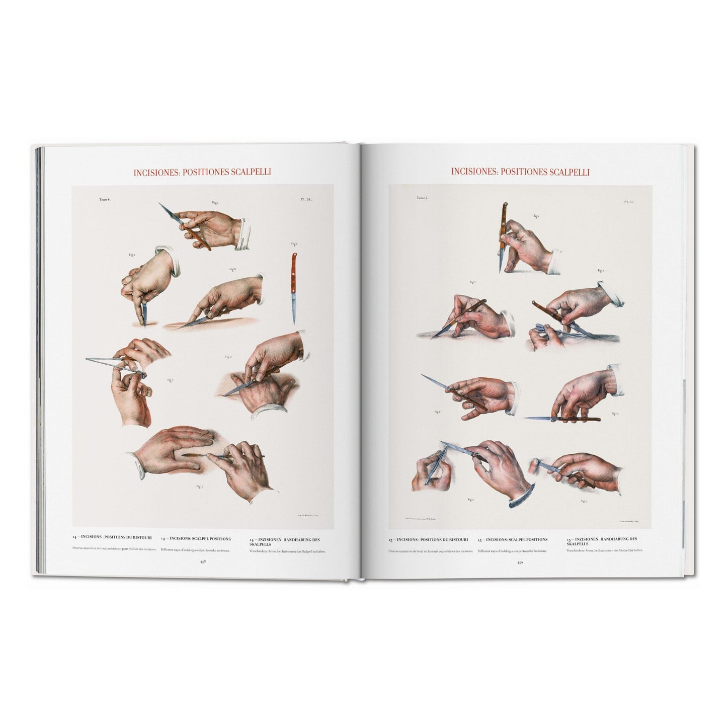 Bourgery. Atlas of Human Anatomy and Surgery (German, French, English) Book