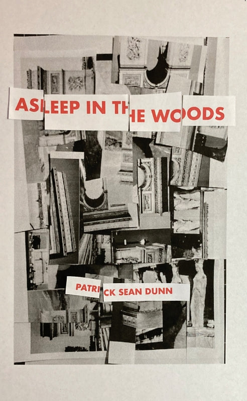 Asleep in the Woods Book