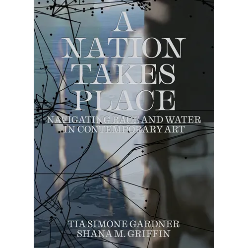 A Nation Takes Place: Navigating Race and Water in Contemporary Art