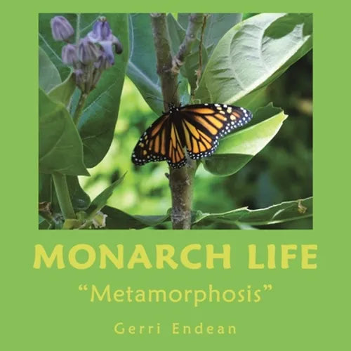 Monarch Life: "Metamorphosis"