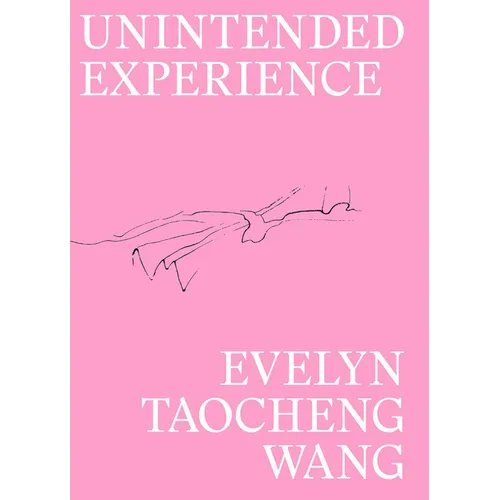 Evelyn Taocheng Wang: Unintended Experience: A Job in Amsterdam