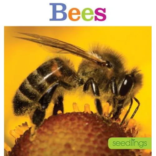 Seedlings: Bees