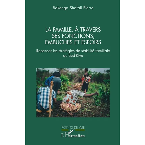 La famille, à travers ses fonctions, ses embûches et espoirs: Repenser les stratégies de stabilité familiale au Sud-Kivu