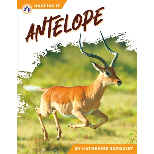 Antelope