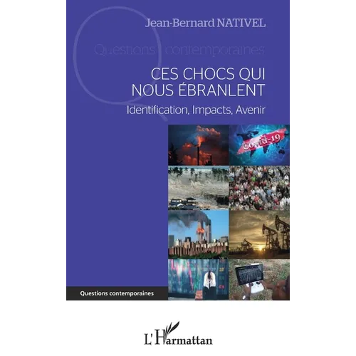 Ces chocs qui nous ébranlent: Identification, Impact, Avenir