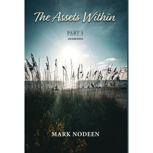 The Assets Within, Part I - Awareness