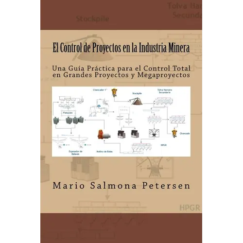 El Control de Proyectos en la Industria Minera