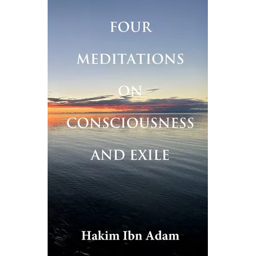 Four Meditations on Consciousness and Exile