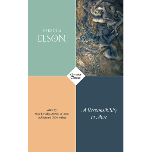 A Responsibility to Awe
